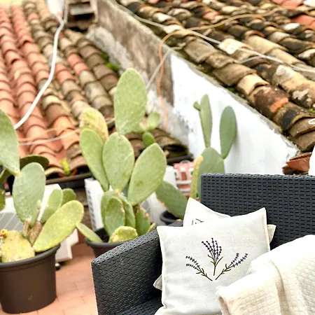 Kalsa Terrace Boutique Apartment